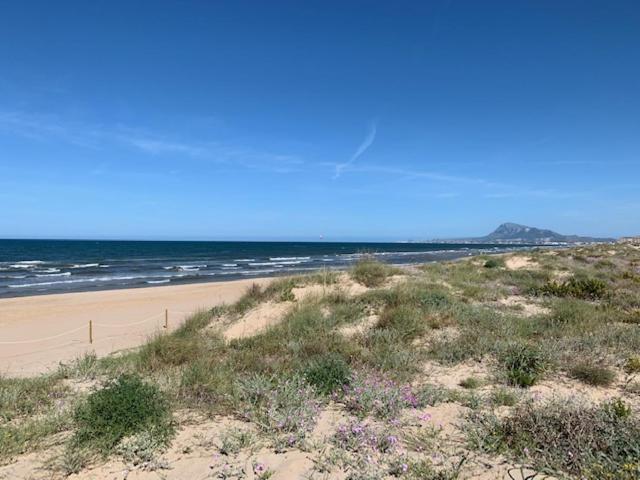 Apartament Golf Y Mar - Oliva Nova Zewnętrze zdjęcie